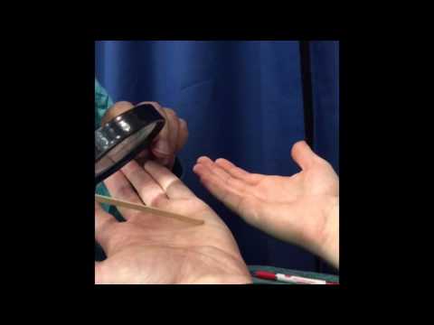 Getting my Palm Reading Done (Very Accurate)