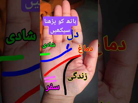 Palm Lines Information l Hand Reading with Meaning In Urdu l Hand reading #shorts #palmistry