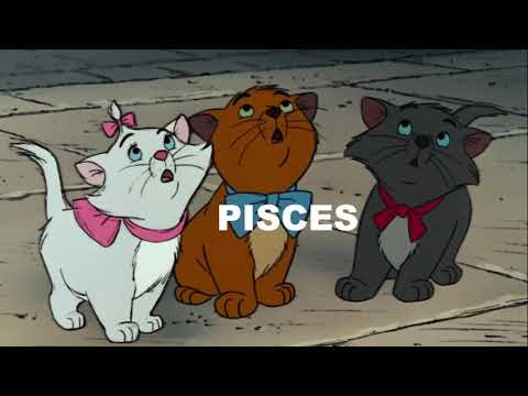 zodiac memes to random animated movie clips