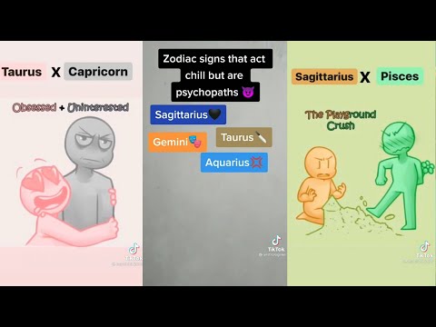 Zodiac Sign TikTok Compilation {Part 3}