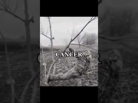 Zodiac Signs at War (Part 1) – Zodiac Signs Tiktok #shorts